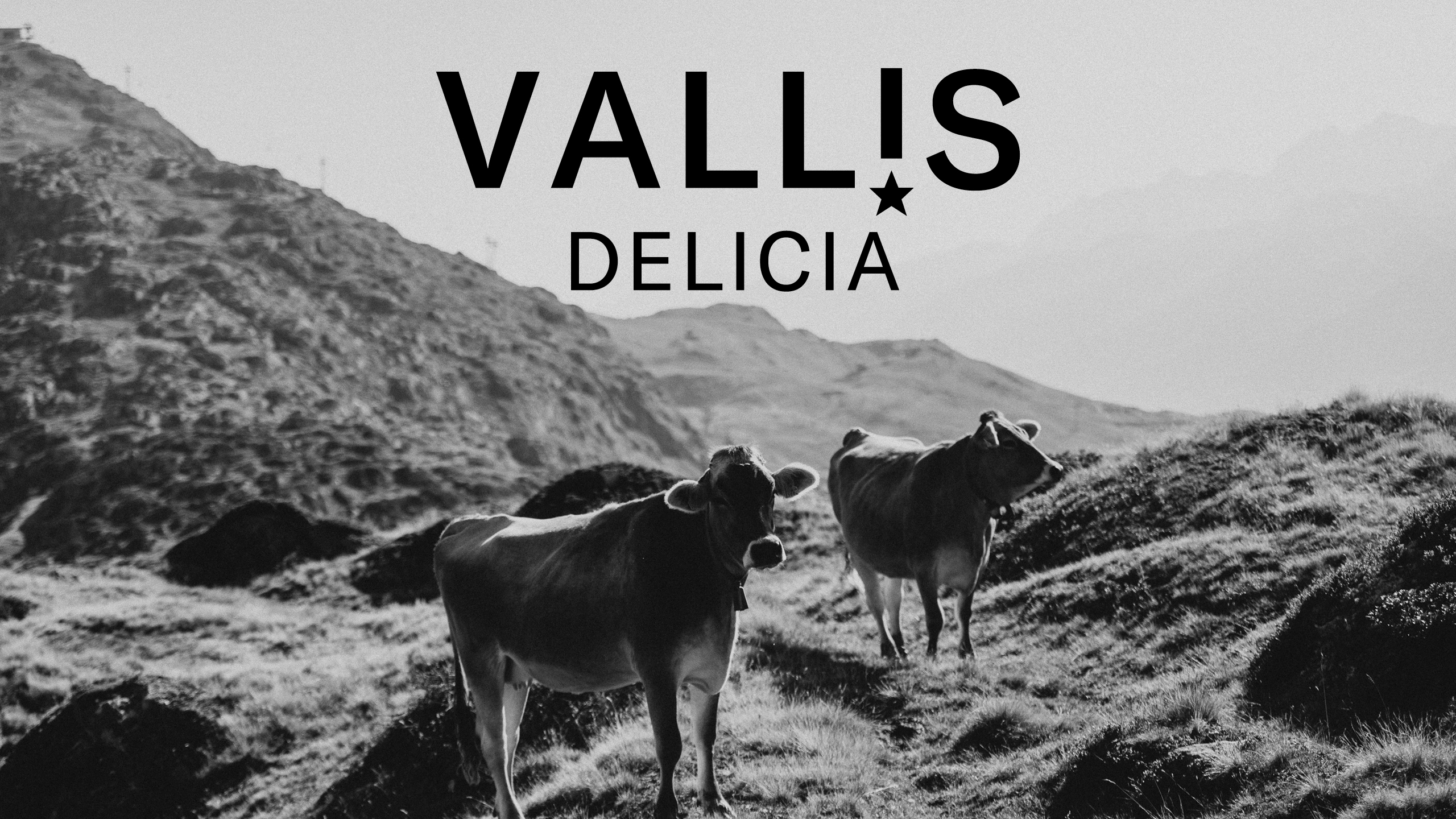 VALLIS_DELICIA