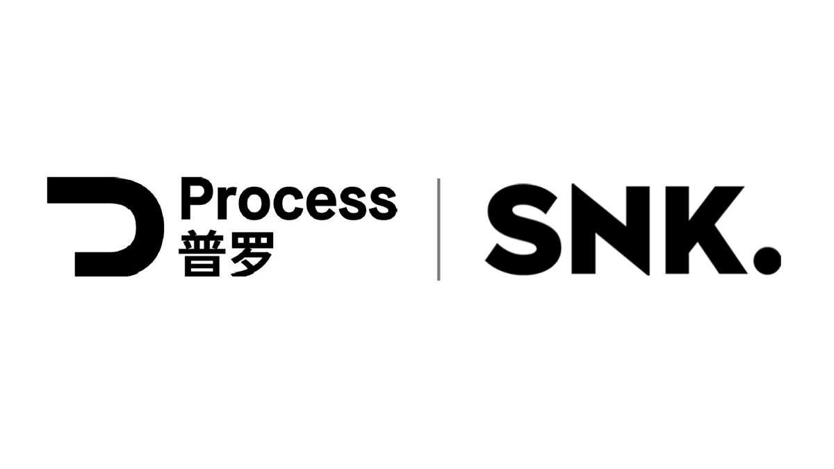 process_snk